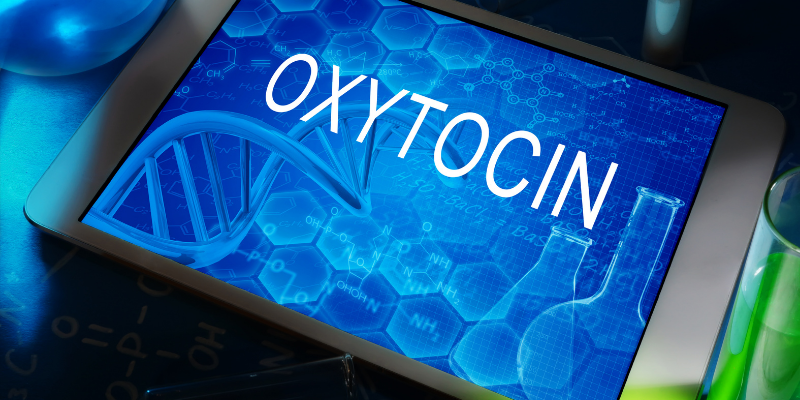 oxytocin is a love hormone
